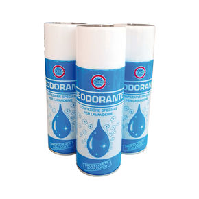 Desodorante spray - 400 ml